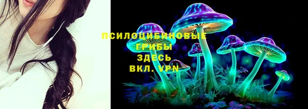 каннабис Майский