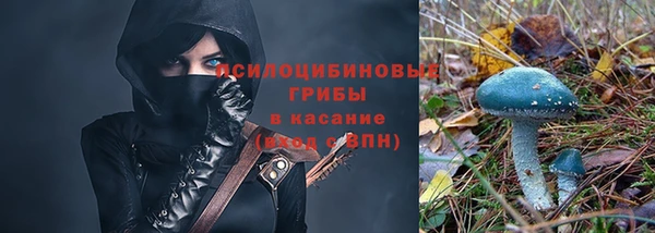 эйфоретик Липки