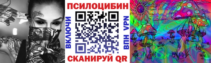 Псилоцибиновые грибы мицелий  Дегтярск 